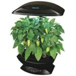 Does Aerogarden really work?