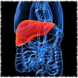 Does a liver cleanse really work?