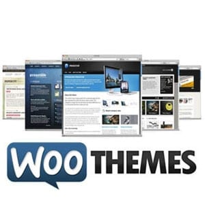 Do Woo Themes really work?