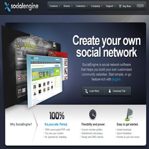 Does SocialEngine work?