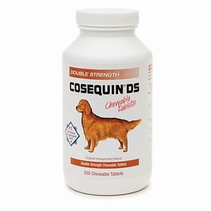 Does Cosequin work?