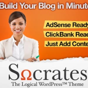 Does the Socrates WordPress Theme work?