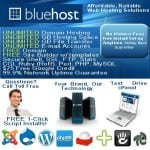 Does Bluehost work?