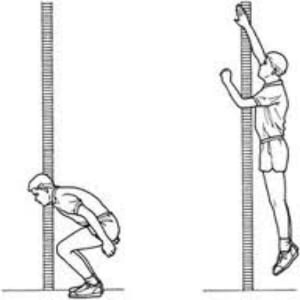 what is the best free vertical jump program