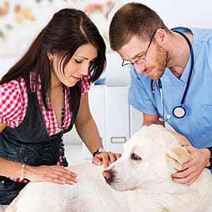 Pet Insurance Reviews