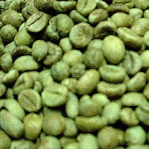 Does Green Coffee Bean Extract work?