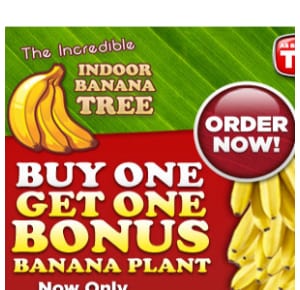 Does Banana Giant work?