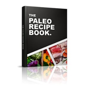 Does the Paleo Recipe Book work?