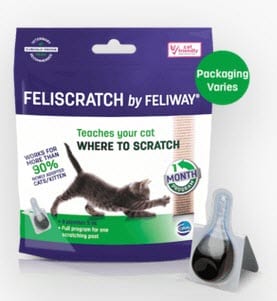 Feliscratch