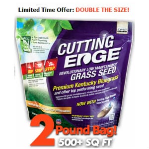 Does Cutting Edge Grass Seed work?