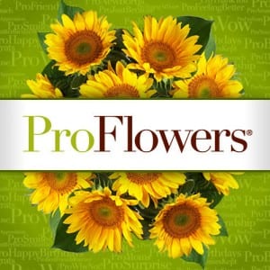 Does ProFlowers work?