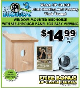 Does My Spy Birdhouse Work?