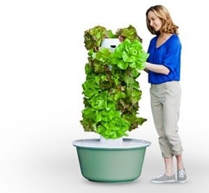 Does the Tower Garden Work?