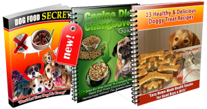 Does Dog Food Secrets Work?