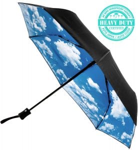 Do the 60 MPH Windproof Umbrellas Work?