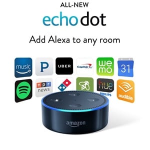 Does Echo Dot Work?