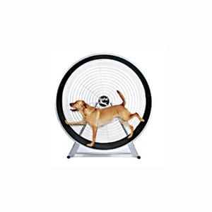 Does the Gopet Doggy Treadwheel Work?