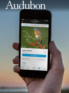 Does the Audubon Bird App Work?